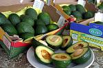 agro-noticias/attachments/10101-lambayeque-exportaciones-frutas-frescas.jpg