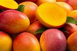 agro-noticias/attachments/10388-mango-fruta-tropical.jpg