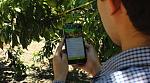 agro-noticias/attachments/10493-app-agricultura-cultivos.jpg