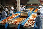 agro-noticias/attachments/10678-citricos-mandarinas-exportacion-peru.jpg