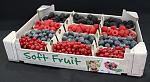 agro-noticias/attachments/10718-berries-arandanos.jpg