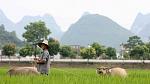 agro-noticias/attachments/10928-china-agricultura.jpg