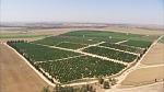 agro-noticias/attachments/10972-israel-campo-agricultura.jpg