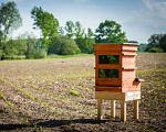 agro-noticias/attachments/11016-colmena-solar-abejas.jpg