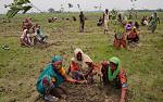 agro-noticias/attachments/11437-india-agricultura.jpg