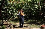 agro-noticias/attachments/11613-colombia-agricultura.jpg