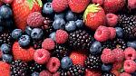 agro-noticias/attachments/12015-berries-andinos.jpg