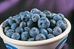 agro-noticias/attachments/12054-blueberries-baby-blues.jpg