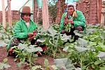 agro-noticias/attachments/12140-agricultura-familiar-peru-andina.jpg