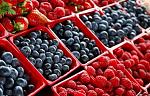 agro-noticias/attachments/12391-berries.jpg