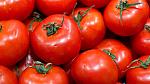 agro-noticias/attachments/12908-tomates.jpg