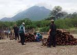agro-noticias/attachments/13344-autoridades-piura-decomisan-madera-especie-forestal-peligro-critico.jpg