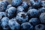 agro-noticias/attachments/13739-arandanos-blueberries-peru.jpg