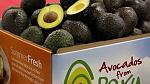 agro-noticias/attachments/14086-avocados-from-peru.jpg