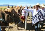 agro-noticias/attachments/14218-ministro-agricultura-vaca-ganaderos-andina.jpg