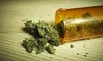 agro-noticias/attachments/16259-cannabis-medicinal.jpg