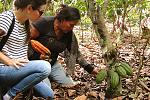 agro-noticias/attachments/16309-cacao-cultivo-prensa-5.jpg