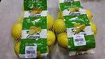 agro-noticias/attachments/17197-8016827d-packaging_limones_840.jpg