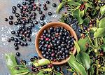 agro-noticias/attachments/17521-berri-cultivos-fruta.jpg