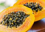 agro-noticias/attachments/17596-que-sirven-semillas-de-papaya-limon-828960-jpg_604x0.jpg