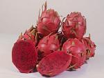 agro-noticias/attachments/17699-pitahaya-fruta.jpg