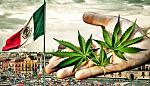 agro-noticias/attachments/20558-mexico-cannabis.jpg