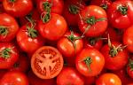 agro-noticias/attachments/21164-manejo-agronomico-del-tomate-112.jpg