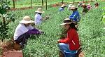 agro-noticias/attachments/21815-mujeres-agricultoras123.jpg