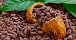 agro-noticias/attachments/25146-cacao.jpg