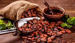 agro-noticias/attachments/25177-cacao.jpg