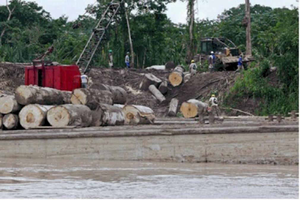 Gobierno de Ucayali habra autorizado grave deforestacin de bosques.
