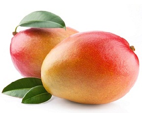 Ya estn en marcha las exportaciones de mango fresco de Per para la campaa 2014-2015.