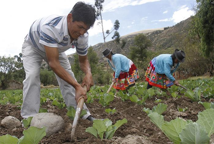 Inversin en agro alcanz los S/. 2,717 millones en 2014 en los tres niveles de gobierno
