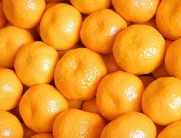 Per produce cerca de 1.100.000 toneladas mtricas de ctricos al ao entre mandarinas, naranjas, pomelos, tangelos y limones. Del total, slo el 10% se destina a exportacin -principalmente mandarinas-, mientras el resto se consume a nivel local.