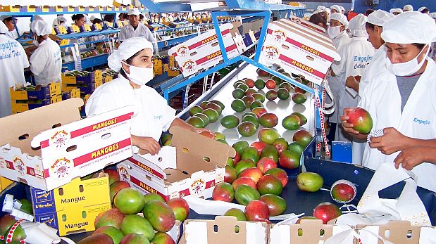 La apuesta de las compaas de agroexportacin es incrementar en los prximos 5 aos su oferta de alimentos saludables