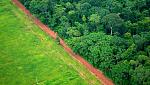 agro-noticias/attachments/6240-deforestacion-cifor-verchot-qa-main-617x351.jpg
