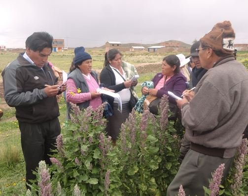 Chilenos recogen experiencias exitosas de Agrorural Puno