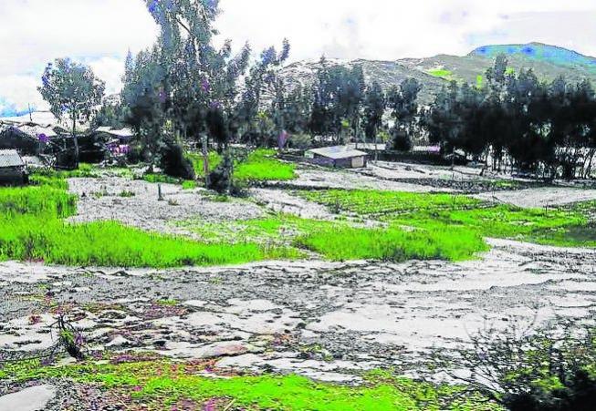 40 hectreas de cultivo se malogran en Pilchaca