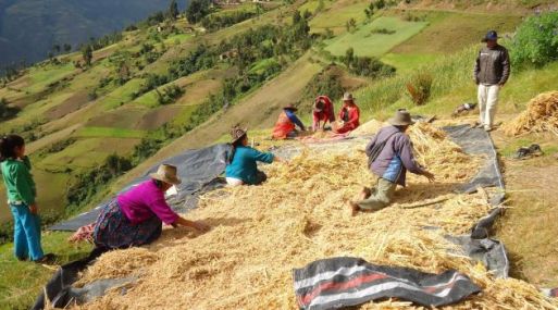 AgroRural anuncia ms de US$ 500,000 para financiar proyectos de ms de 1,000 pequeos agricultores