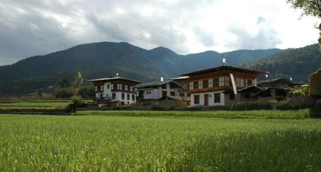 BHUTAN, EL PRIMER PAS DEL MUNDO EN PERMITIR SLO LA AGRICULTURA ECOLGICA