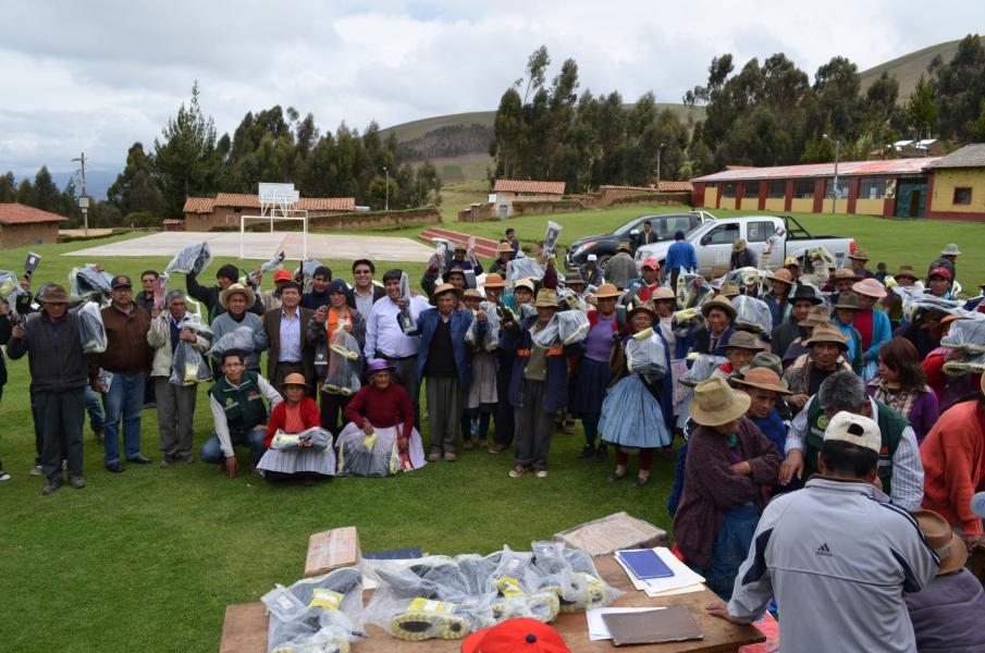 Entregan ayuda a ms de 140 agricultores de Junn afectados por granizada