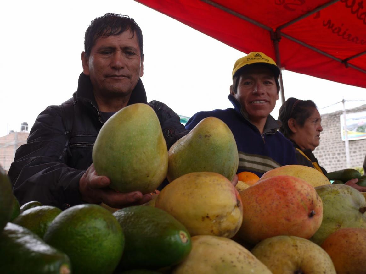 SENASA expone logros de I Expoferia Regional de la Fruta Sana en Ayacucho