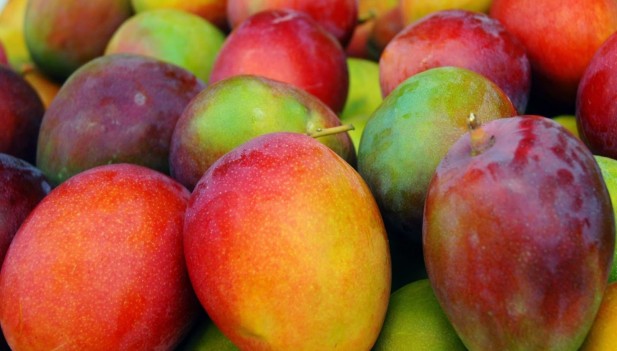 Exportaciones de pulpa de mango cayeron en un 25% en el 2014