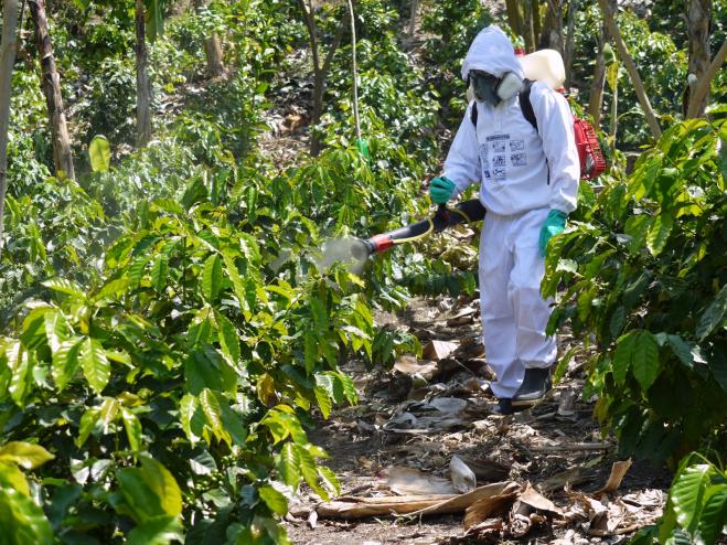 MINAGRI Y SENASA ejecutan Plan de Capacitacin para control de plagas en la Selva Central