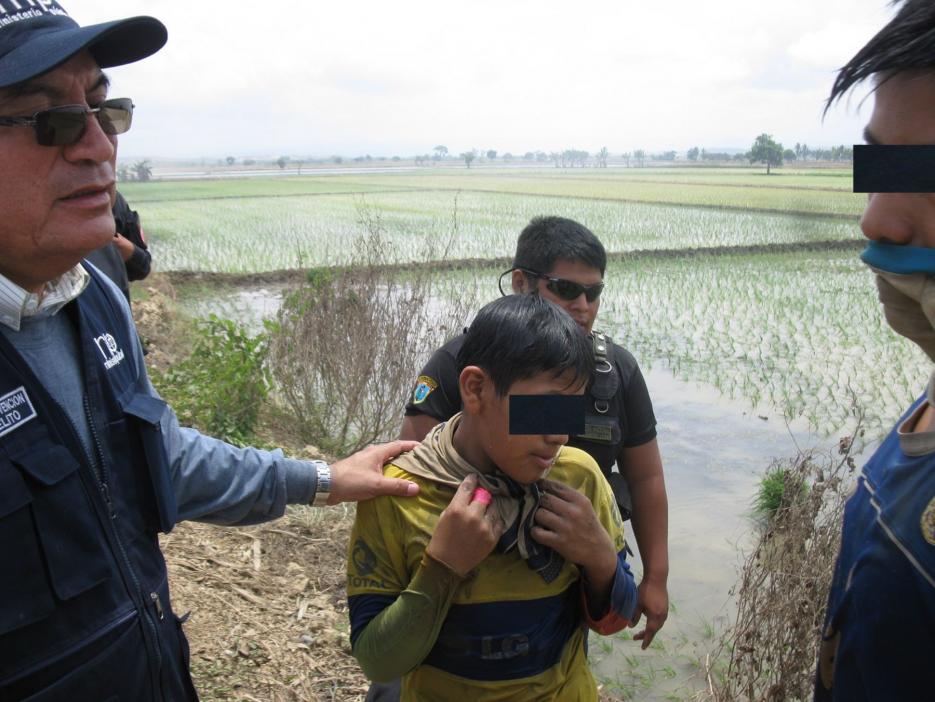 Tumbes: rescatan a ms menores que laboraban en campos arroceros
