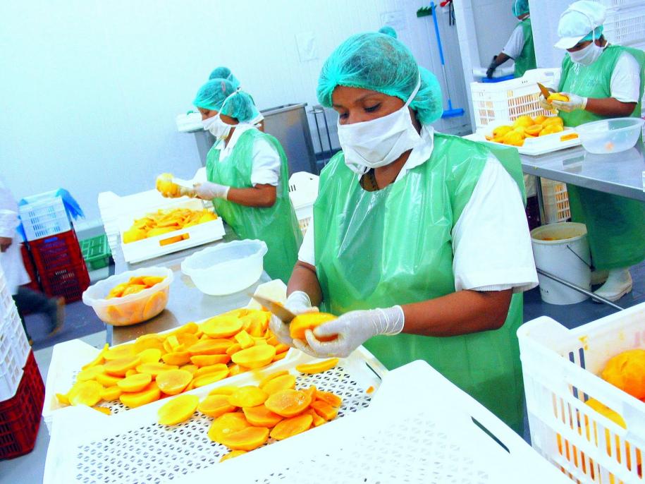 Aumenta la importacin de mango mexicano y disminuye la de peruano en EE.UU