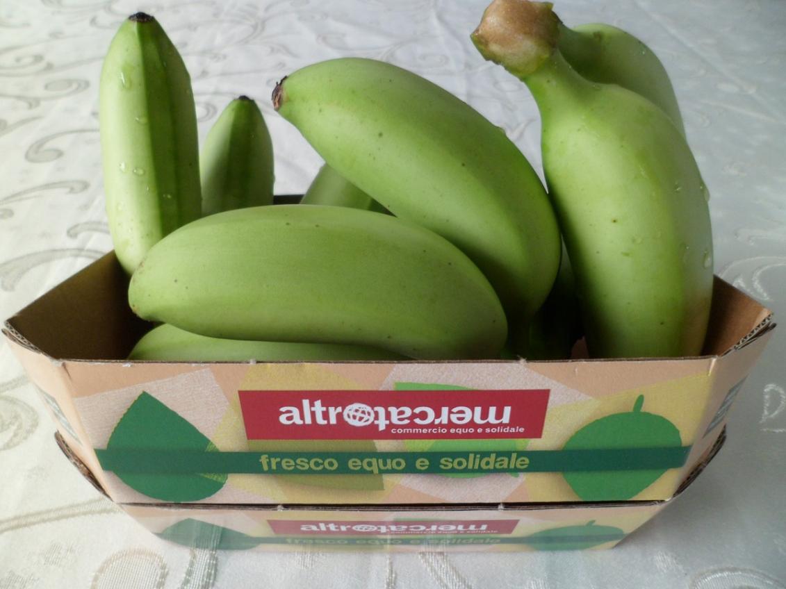 Inversionistas italianos solicitaron primer envo de bananos de Tingo Mara