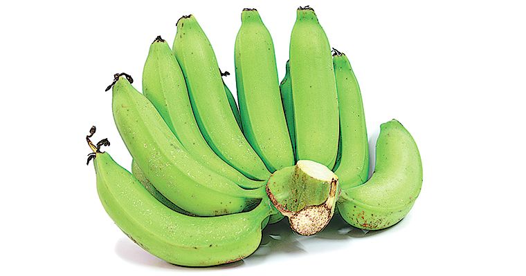 Banano orgnico el “oro verde” del valle del Chira
