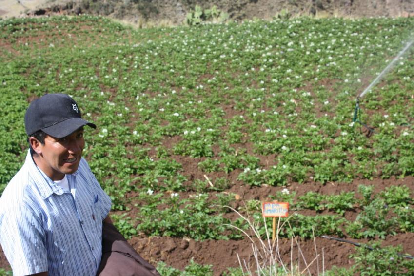 Espinar: obras hdricas incorporarn 22,260 nuevas hectreas de cultivos