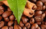 agro-noticias/attachments/6785-cafe-organico-beneficios.jpg